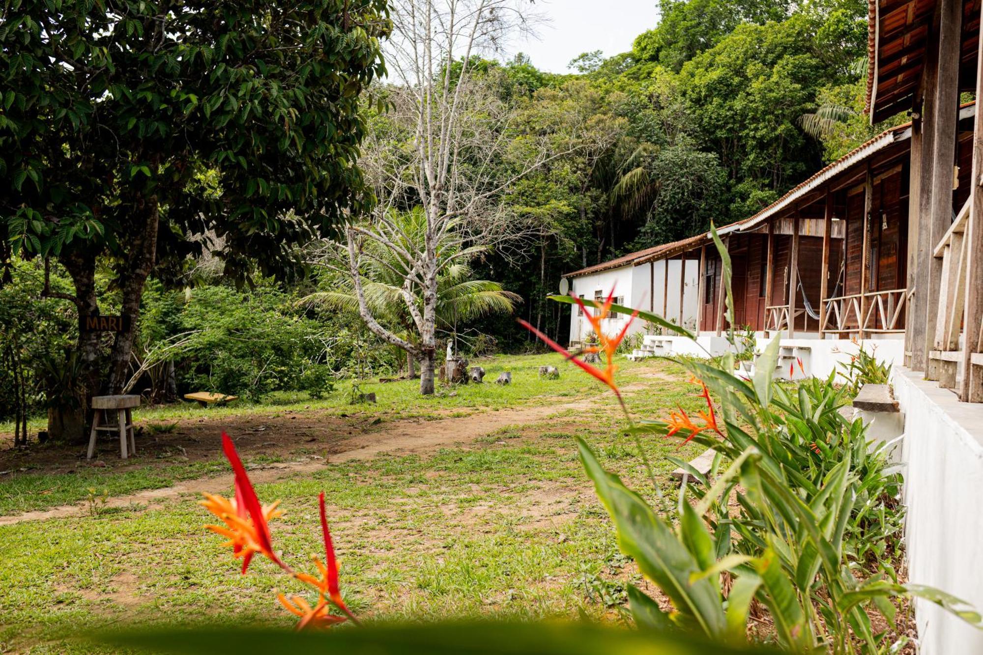 פרסידנטה פיגיירדו Refugio Mari Mari Lodge מראה חיצוני תמונה